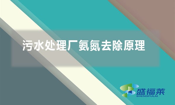 污水處理廠(chǎng)氨氮去除原理