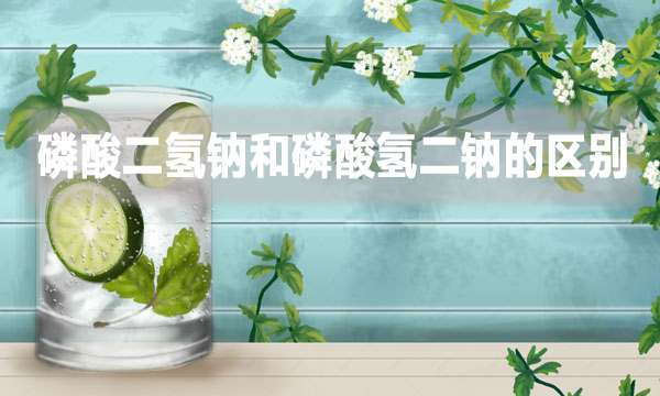 污水處理磷酸二氫鈉和磷酸氫二鈉的區(qū)別是什么？