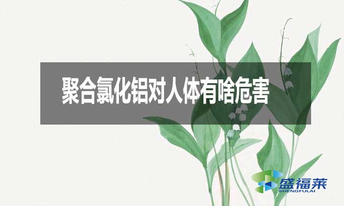 聚合氯化鋁對人體有啥危害?